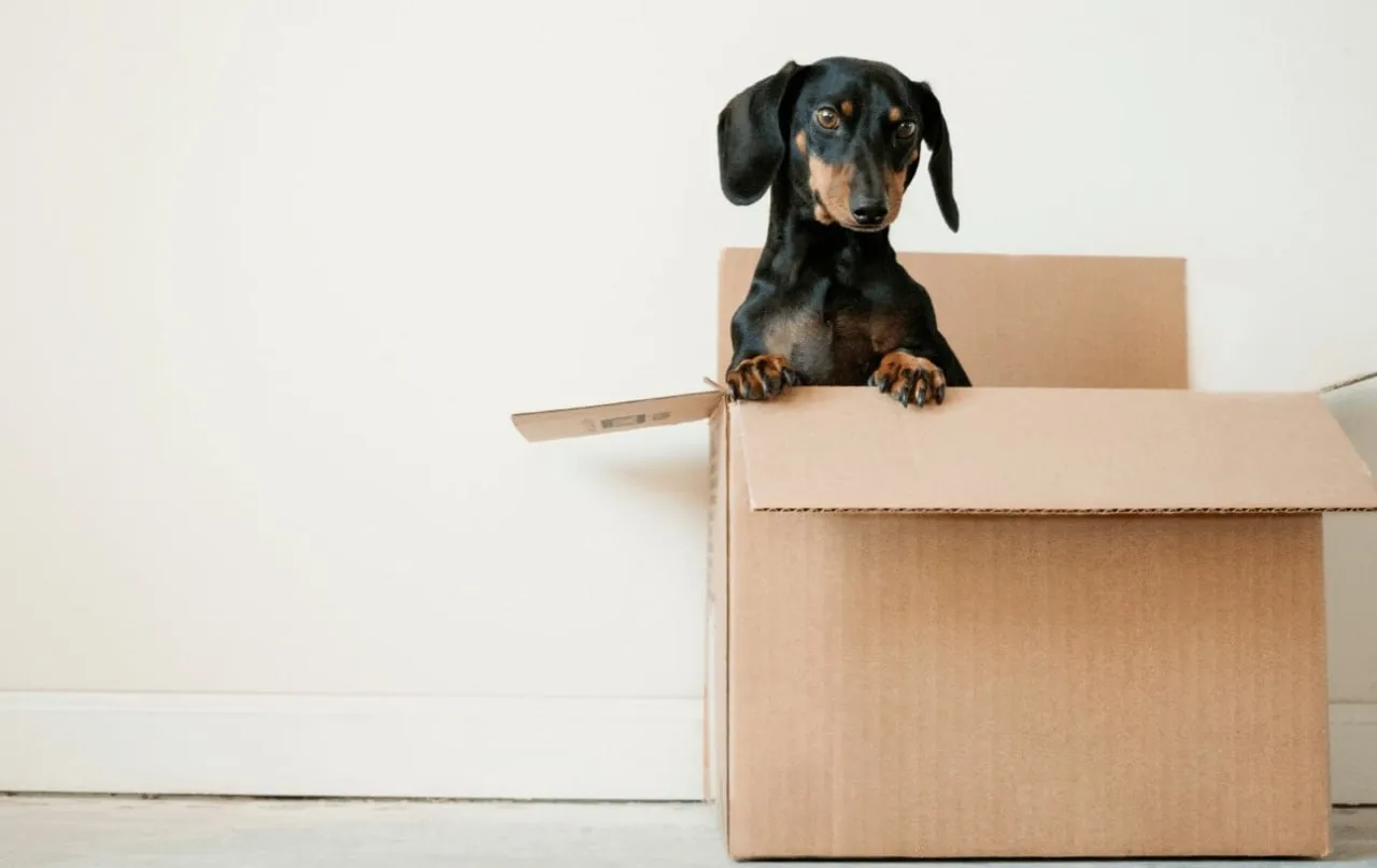 Moving Abroad Checklist – International Moving Planner
